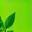 Sprout Icon